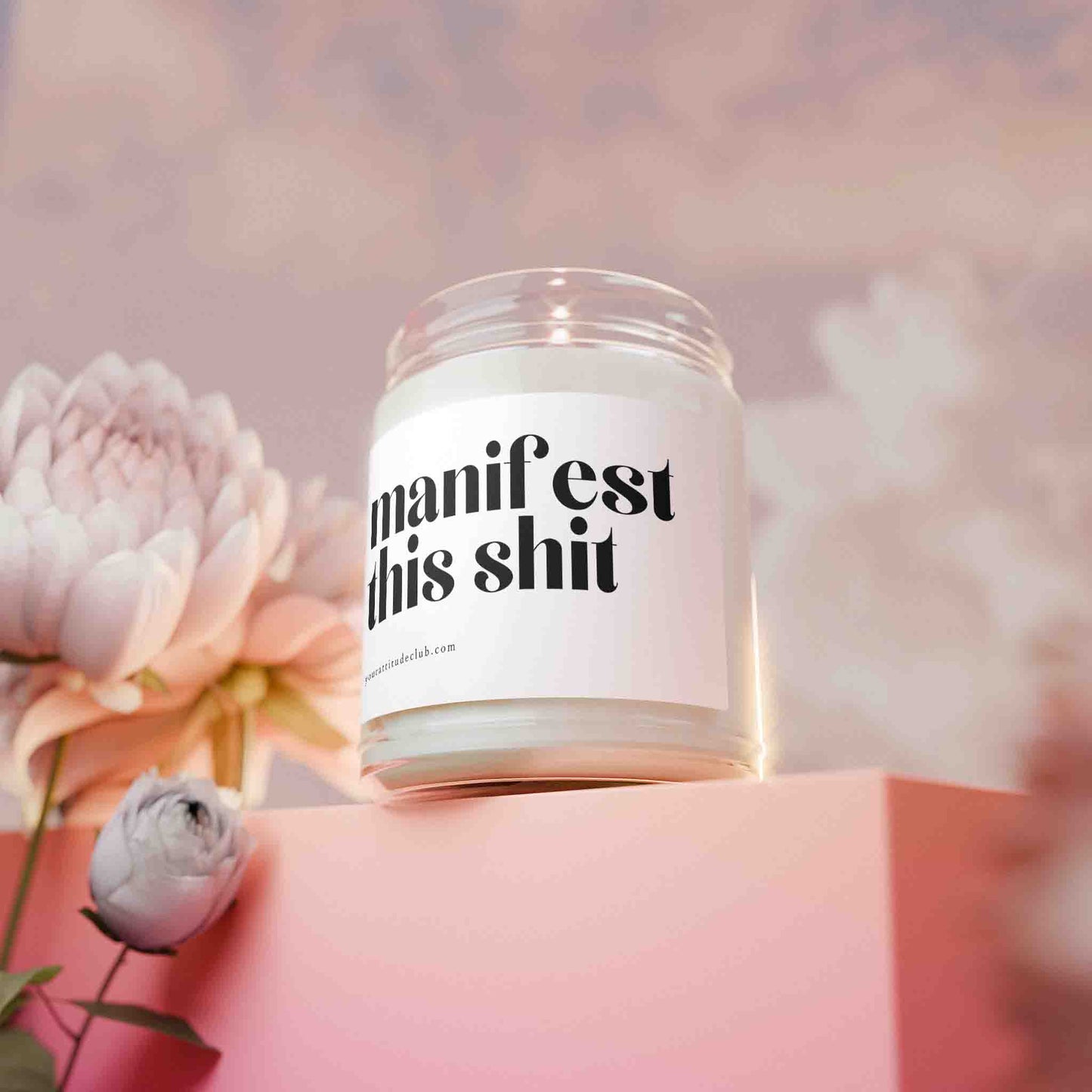 Manifest this shit