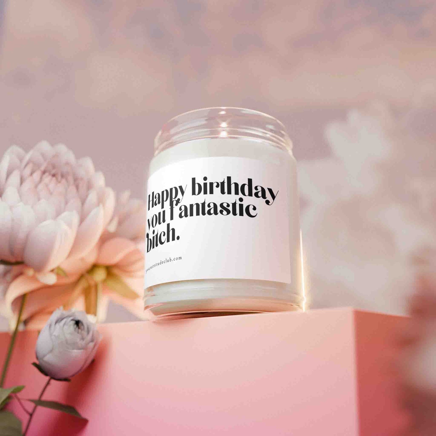 Happy Birthday you fantastic bitch