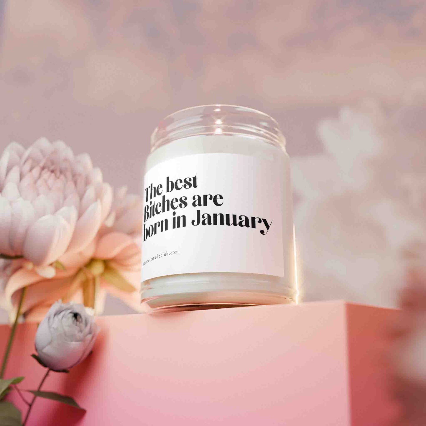 The best bitches are born in January